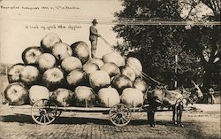 A Load of Good Mo. Apples Postcard