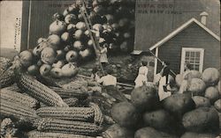 Our Barn Is Full Postcard