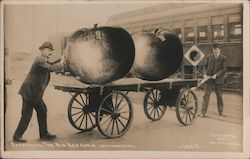 Expressing the Big Red Apple, Washington Postcard