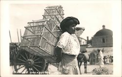 (Illegible) OAXAQUENOS - Bird Seller Postcard