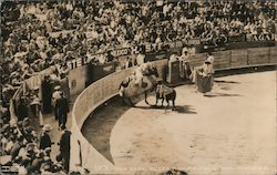 Plaza de Toros México, world's largest bullring Mexico City, Mexico Postcard Postcard Postcard