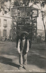 Bird Seller Mexico Postcard Postcard Postcard