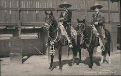 Osuna Charros Mexico 740 Postcard