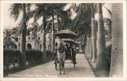 Horse Drawn Carriage Postcard