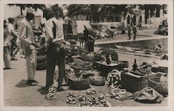 Norddeutscher Lloyd Postcard