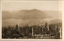 Birdseye View Postcard