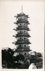 Tiger Pagoda Postcard