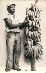 Honduran Banana Worker Postcard