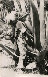 Typical Mexican Agricultural Worker Postcard