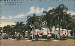 Cocoanut Grove, A DeLuxe Motor Hotel in an Exotic Setting of Tropical Beauty Postcard