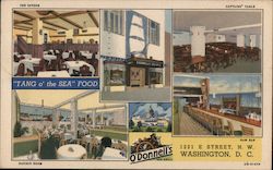 O'Donnell's Sea Grill Postcard