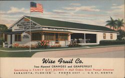 Wise Fruit Co., Tree-Ripened Oranges and Grapefruit Sarasota, FL Postcard Postcard Postcard