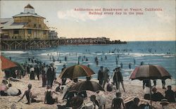Auditorium and Breakwater Postcard