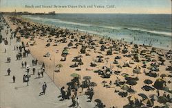 Beach and Strand Between Ocean Park and Venice California Postcard Postcard Postcard
