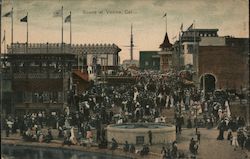 Crowd Scene Venice, CA Postcard Postcard Postcard