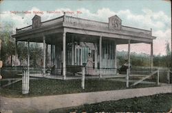 Sulpho-Saline Spring Postcard