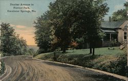 Dunbar Avenue in Forrest Park Postcard