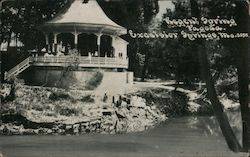 Regent Spring Pagoda Postcard