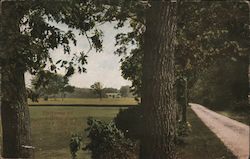 Deer Park Country Club near La Salle and Ottawa Postcard