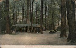 Picnic Grounds at Waldameer Park Erie, PA Postcard Postcard Postcard