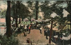 Campers along Lake Erie Postcard