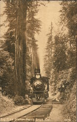 Big Tree Station Postcard