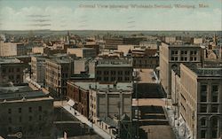 General View Showing Wholesale Section Postcard