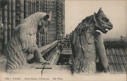 Notre-Dame, Chimeres Postcard