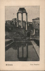 Roma Foro Paladino Postcard