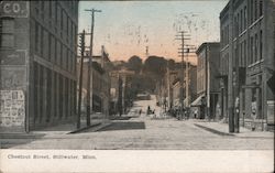 Chestnut Street Stillwater, MN Postcard Postcard Postcard