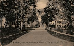 Federal Street, Looking North Postcard