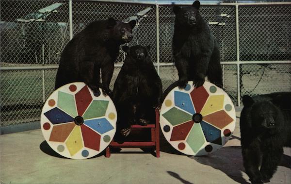 Clark's Trading Post North Woodstock New Hampshire