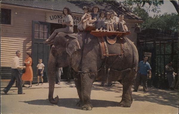 Benson Wild Animal Farm Elephant Ride Hudson New Hampshire