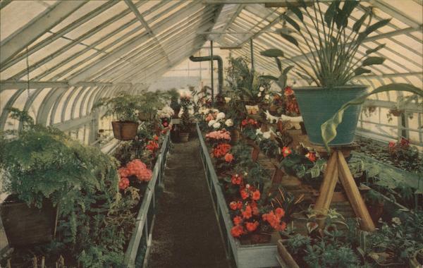 International Kitchen Niles California