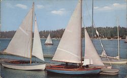 Erie Yacht Club Postcard