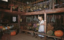 Old Sturbridge Village, The Herb Barn Massachusetts Walter H. Mile Postcard Postcard Postcard