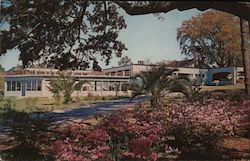 Gulf Hilld Dude Ranch and Country Club Postcard