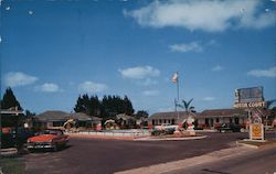 Lion Motor Court Postcard