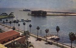 Yacht Basin and Bay Front Park Postcard