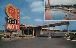 Knox Motel Postcard