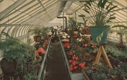 International Kitchen Postcard