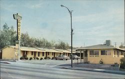 Lorains & Fred Luchsingers Cactus Motel Postcard