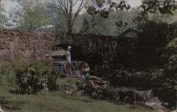 Waterfalls at State Park Postcard