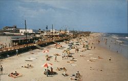 Main Boardwalk and Swimming Area Postcard