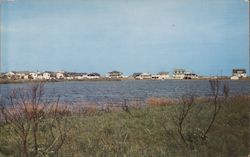 Lake of Carolina Beach Postcard