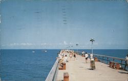 Fisherman's Steel Pier Postcard