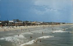 Carolina Beach, Main Boardwalk and Swimming Area as Seen From the Fisherman's Steel Pier North Carolina Postcard Postcard Postcard