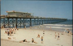 Fisherman's Steel Pier Postcard