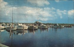 Yacht Harbor, the Seat of Brunswick County, Estuary of the Cape Fear River Postcard