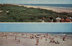 Scenes Along the Beautiful Atlantic Ocean Postcard
